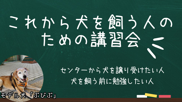 写真：事前講習会        