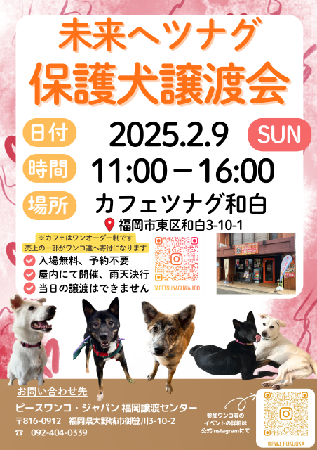 写真：未来へツナグ　保護犬譲渡会