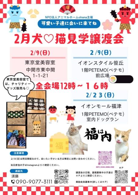 写真：２月犬♡猫見学譲渡会  