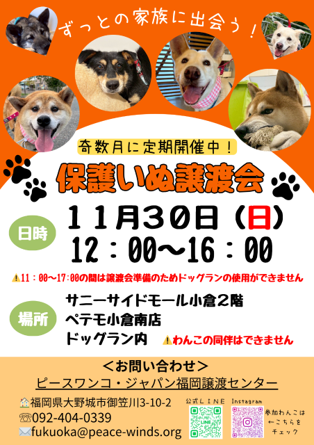 写真：ずっとの家族に出会う！　保護いぬ譲渡会  