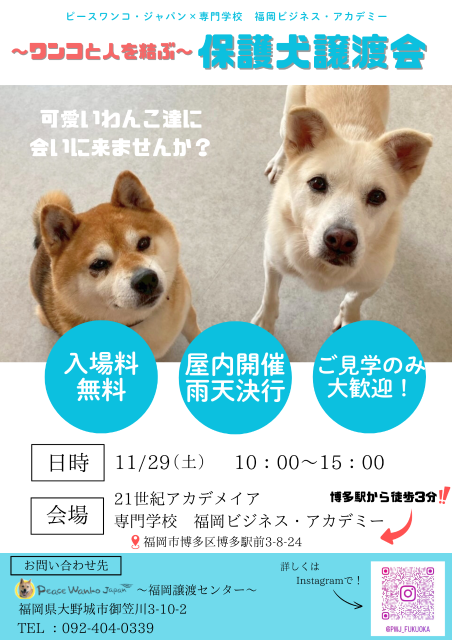写真：ワンコと人を結ぶ　保護犬譲渡会 
