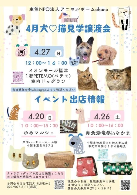 写真：３月犬♡猫見学譲渡会 