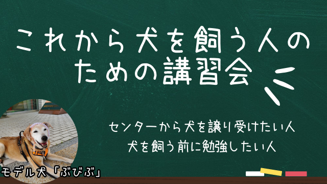 写真：事前講習会 