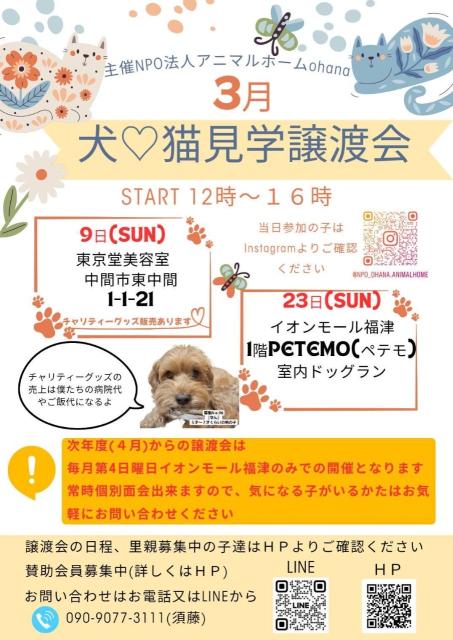 写真：３月犬♡猫見学譲渡会   