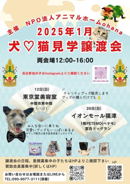 写真：犬♡猫見学譲渡会  