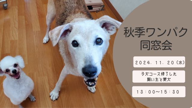 写真：令和６年度秋季ワンパク同窓会   