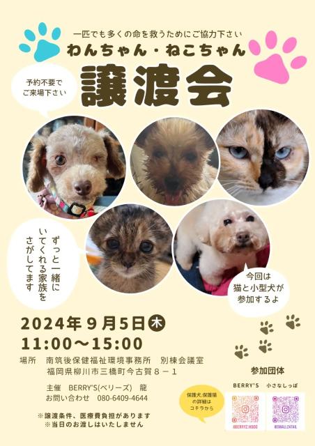 写真：わんちゃん・ねこちゃん譲渡会