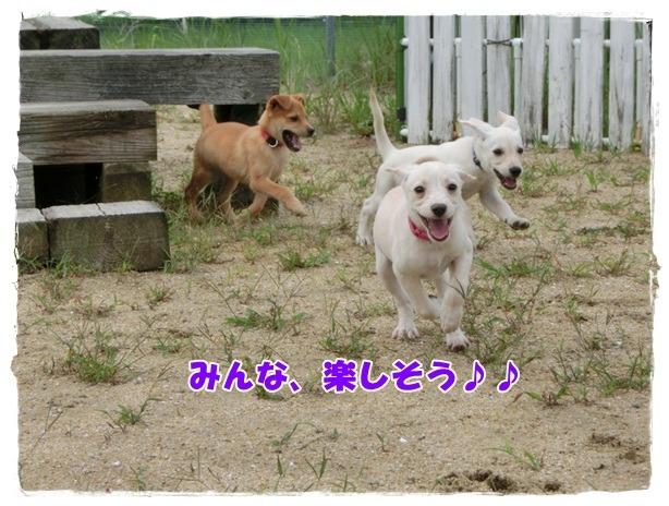 写真サムネイル：兄妹じゃなくても、みんな仲良しです♪♪