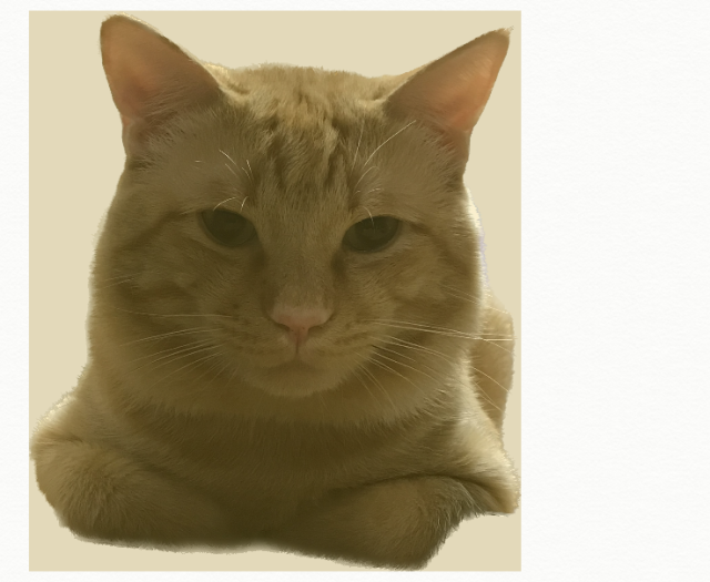 迷子猫のサムネイル画像1
